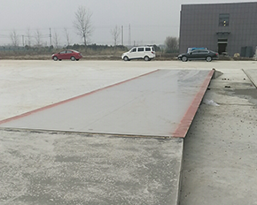 雲南優質的麻豆裸体视频国产免费观看